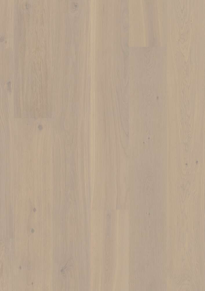 Plank Castle Oak Warm Cotton 10123248 | BOEN (US)