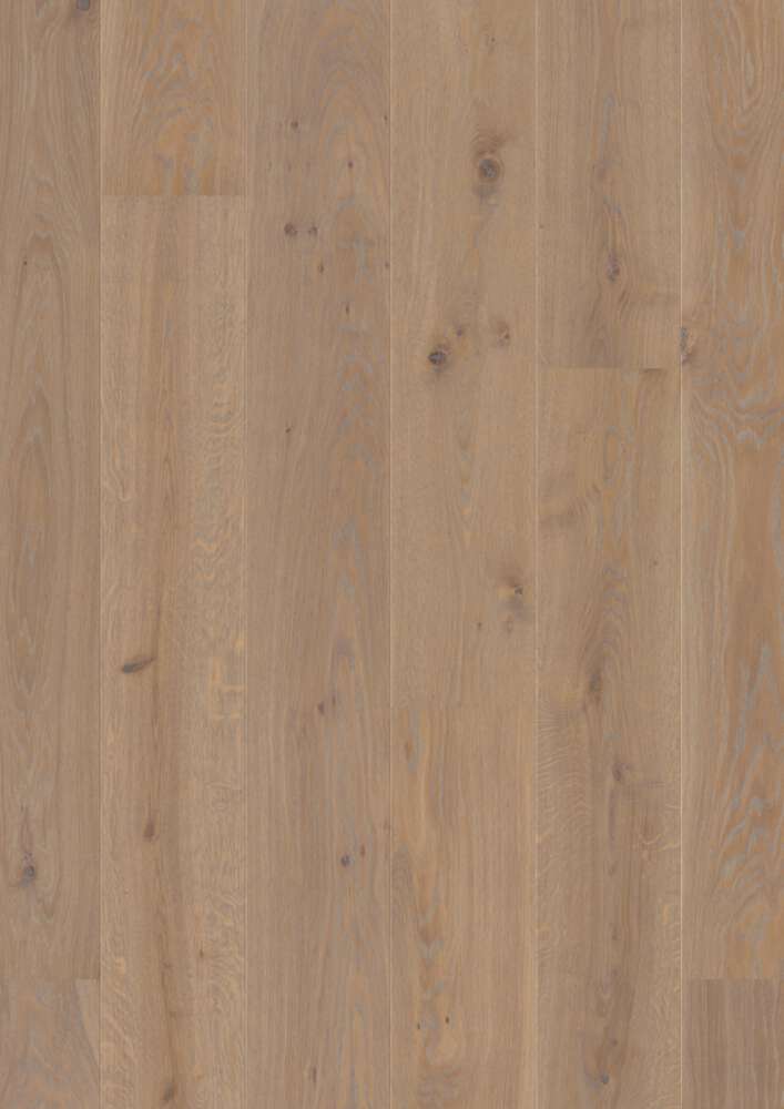 Plank Castle Oak Warm Grey 10136411 | BOEN (US)