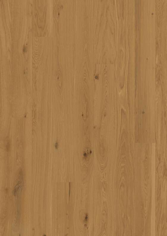 Plank 138  Oak Loam