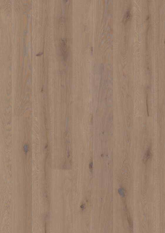 Plank 138  Oak Mica
