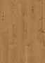  Oak Loam