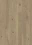  Oak Kaolin